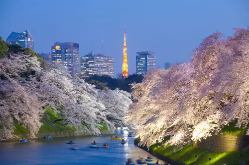 A Brief History of Tokyo