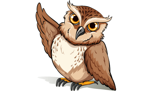 owl