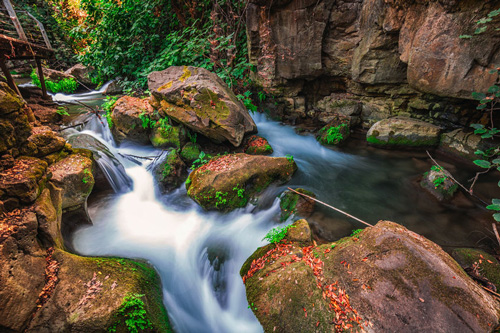 Banias Nature Reserve