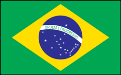 Brazil's Flag