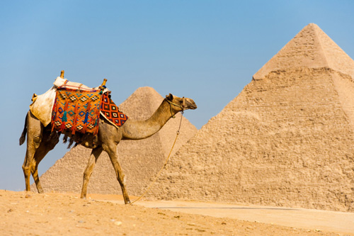 Things To Do in Cairo