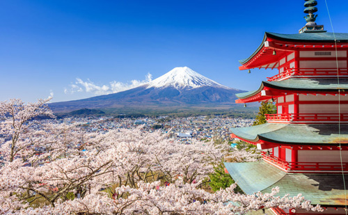 Tokyo, the City of Cherry Blossoms