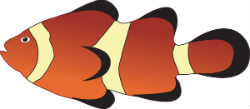 clownfish