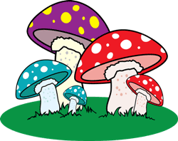 A group of mushrooms