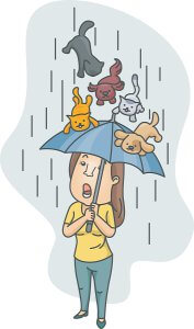 raining cats and dogs