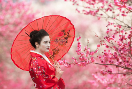 Japanese Kimono, History & Facts