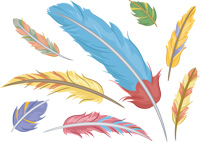 Feathers