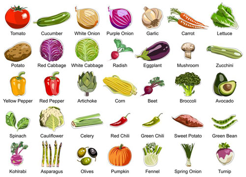 List of vegetables names