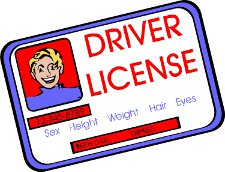 Driver's license