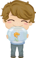 Pet Goldfish