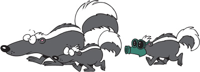 skunks