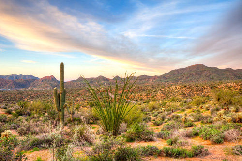 Semi-arid Climates