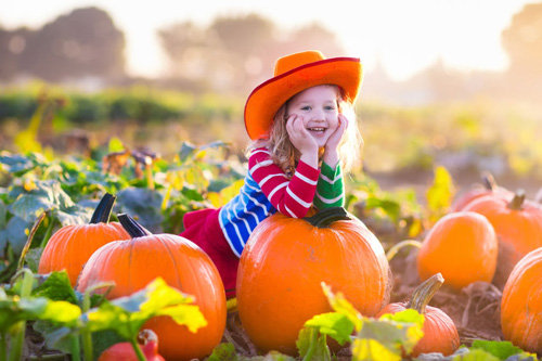 Unique Holidays People Celebrate Around the World