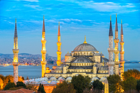 The Blue Mosque