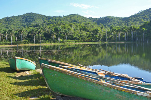 Tropical Wet and Dry Climates