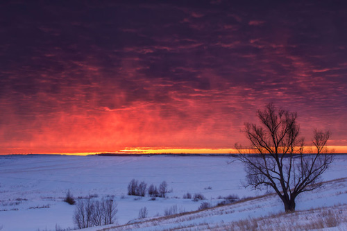 Winter nature landscape