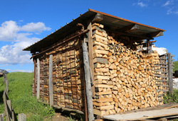 woodshed